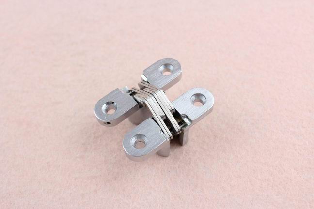 Small bearing zinc alloy cabinet concealed hinge for cabinet