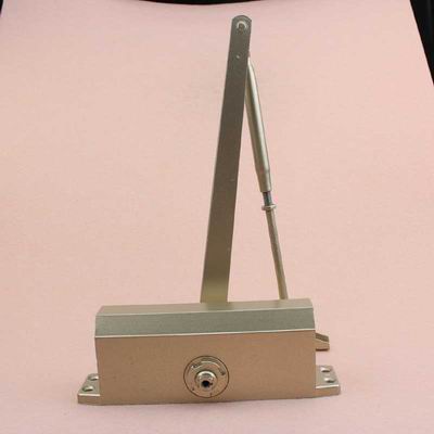 Supply all kinds of Door Closer Products with high quality with CE certificate